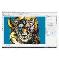 CorelDRAW GS 2019 Lic Media Pack EN/DE/FR/ES/BR/IT/CZ/PL/NL