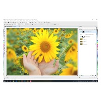 CorelDRAW GS 2019 Lic Media Pack EN/DE/FR/ES/BR/IT/CZ/PL/NL