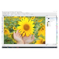 CorelDRAW GS 2019 License Media Pack EN/DE/FR/BR/ES/IT/NL/CZ/PL