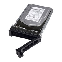 DELL 1TB 7.2K RPM SATA 6Gbps 512n 3.5in Hot-plug Hard Drive CK