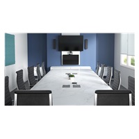 Logitech Rally Speaker, Reproduktor pro Logitech Rally