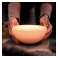 PHILIPS COL Hue Go Přenosné svítidlo Hue White and color ambiance