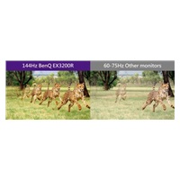 BENQ Monotor EX3203R 31.5"
