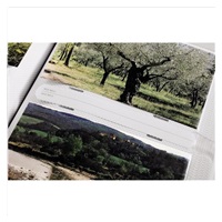 Hama album memo EDA 10x15/200, popisové štítky