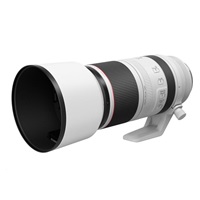 Canon RF 100-500mm f4.5-7.1 L IS USM