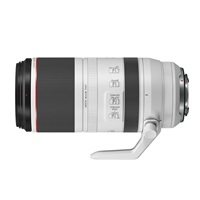 Canon RF 100-500mm f4.5-7.1 L IS USM