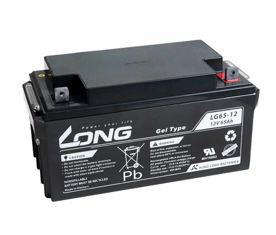 Long 12V 65Ah olověný akumulátor M6 LongLife (WPL65-12AN)