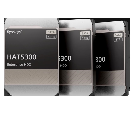 Synology 3,5" HDD HAS5300-12T (NAS) (12TB, SAS, 7200 RPM, 256MB)