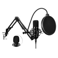 CONNECT IT USB Mikrofon se stolním ramenem ProMic, černá