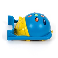 TT - Bee-Bot & Blue-Bot radlice