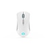 LENOVO Legion M600 Wireless Gaming Mouse (Stingray)