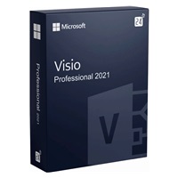 Visio Pro 2021 ESD