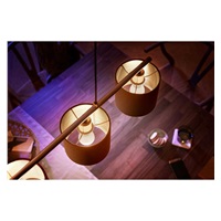 Philips HueW 5.7W Luster E14 EU 1p