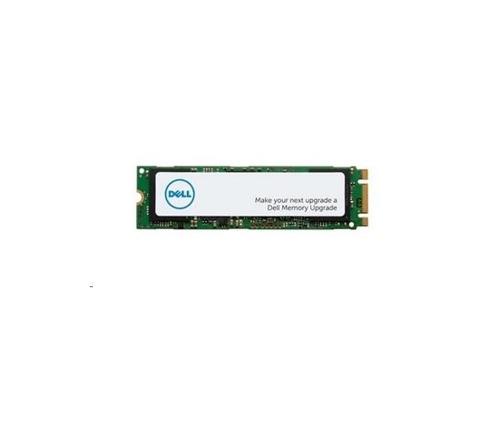 DELL M.2 PCIe NVME Class 40 2280 Solid State Drive - 1TB