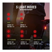 Sigma BUSTER 400 + BUSTER RL 80 - zadní světlo