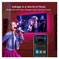 Govee TV 46-60" SMART LED podsvícení RGB + ovladač