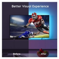 Govee TV 46-60" SMART LED podsvícení RGB + ovladač