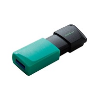 Kingston Flash Disk 256GB USB3.2 Gen 1 DataTraveler Exodia M (Black + Teal)