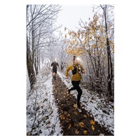 Ledlenser NEO5R čelová svítilna, bílo-limetková