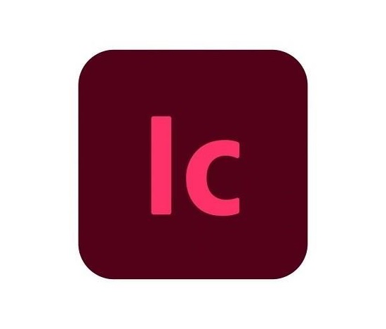 InCopy for teams MP ENG COM RNW 1 User, 12 Months, Level 2, 10 - 49 Lic