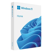 Windows Home 11 64-bit Slovak USB