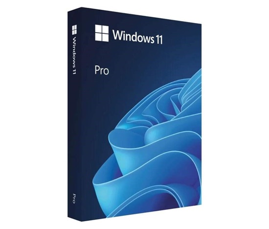 Windows Pro 11 64-bit Czech USB