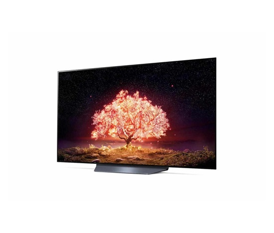 LG OLED55B13LA