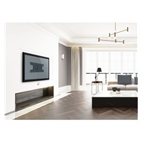 Reflecta PLANOLED 65-4020T nástěnný OLED TV držák