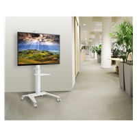 Reflecta TV STAND 70VCP Shelf televizní stolek