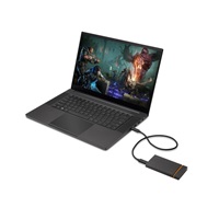 SEAGATE externí SSD FIRECUDA GAMING 2.5", 500GB, external, USB 3.1 Type-C