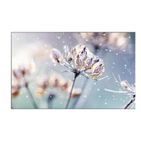 SAMSUNG LFD 46" - LH46VMBUBGBXEN Video wall