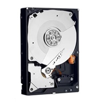 DELL 2.4TB Hard Disk Drive 10K 512e FIPS 12Gbps SAS 2.5in Customer Kit
