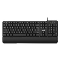 GENIUS klávesnice KB-100XP, Drátová, Ergo předložka, USB, CZ+SK layout