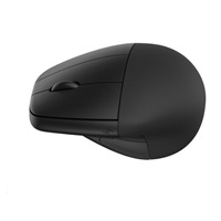 HP X3000 Wireless Mouse - MOUSE