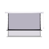 Nástěnné plátno AVELI PREMIUM,black,265x149(16:9) 120"