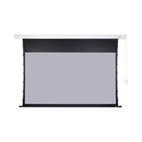 Nástěnné plátno AVELI PREMIUM,black,265x149(16:9) 120"