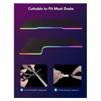 Govee Neon RGBIC LED podsvícení pro stůl