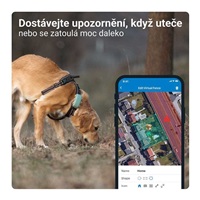 Tractive GPS DOG XL – sledování polohy a aktivity pro psy - zelený