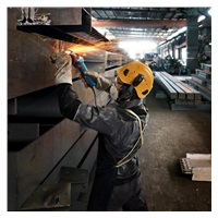 BOSCH GWS 12-125 S angle grinder