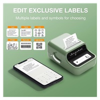 Niimbot Tiskárna štítků B21S Smart, zelená + role štítků 210ks