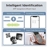 Niimbot Tiskárna štítků B21S Smart, černá + role štítků 210ks