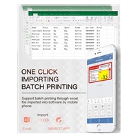 Niimbot Tiskárna štítků B21S Smart, červená + role štítků 210ks