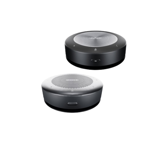 iiyama bluetooth speaker L