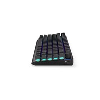 ENDORFY Klávesnice Thock 75% Wireless CZ Black, Mechanická, Bezdrátová, ARGB, černá