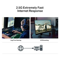 TP-Link TX201 PCIe adapter (1xPCIe2.1,1x2,5GbE)