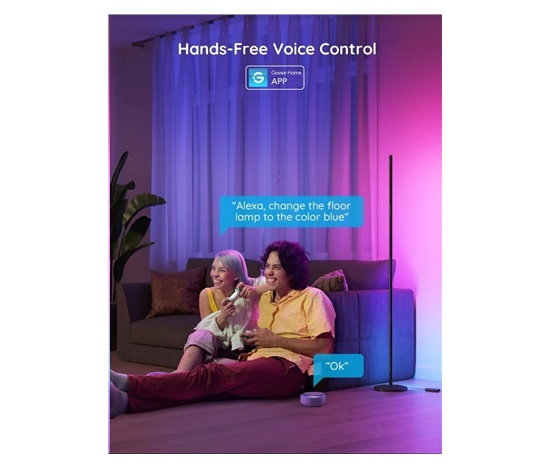Govee RGBICW Smart Corner Floor Lamp