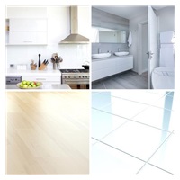 Livington Multi Scrubber čistič na baterie