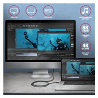 AXAGON BUCM4X-CM10AB, NewGEN+ kabel USB-C <-> USB-C, 1m, USB4 Gen 3×2, PD 240W 5A, 8K HD, ALU, oplot, czarny