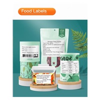 Niimbot Tiskárna štítků B21S Smart, bílá + role štítků 210 ks