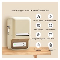 Niimbot Tiskárna štítků B21S Smart, bílá + role štítků 210 ks